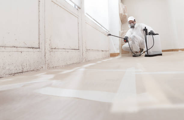 Black mold remediation team in Hoboken